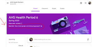 Google Meet Link Example 